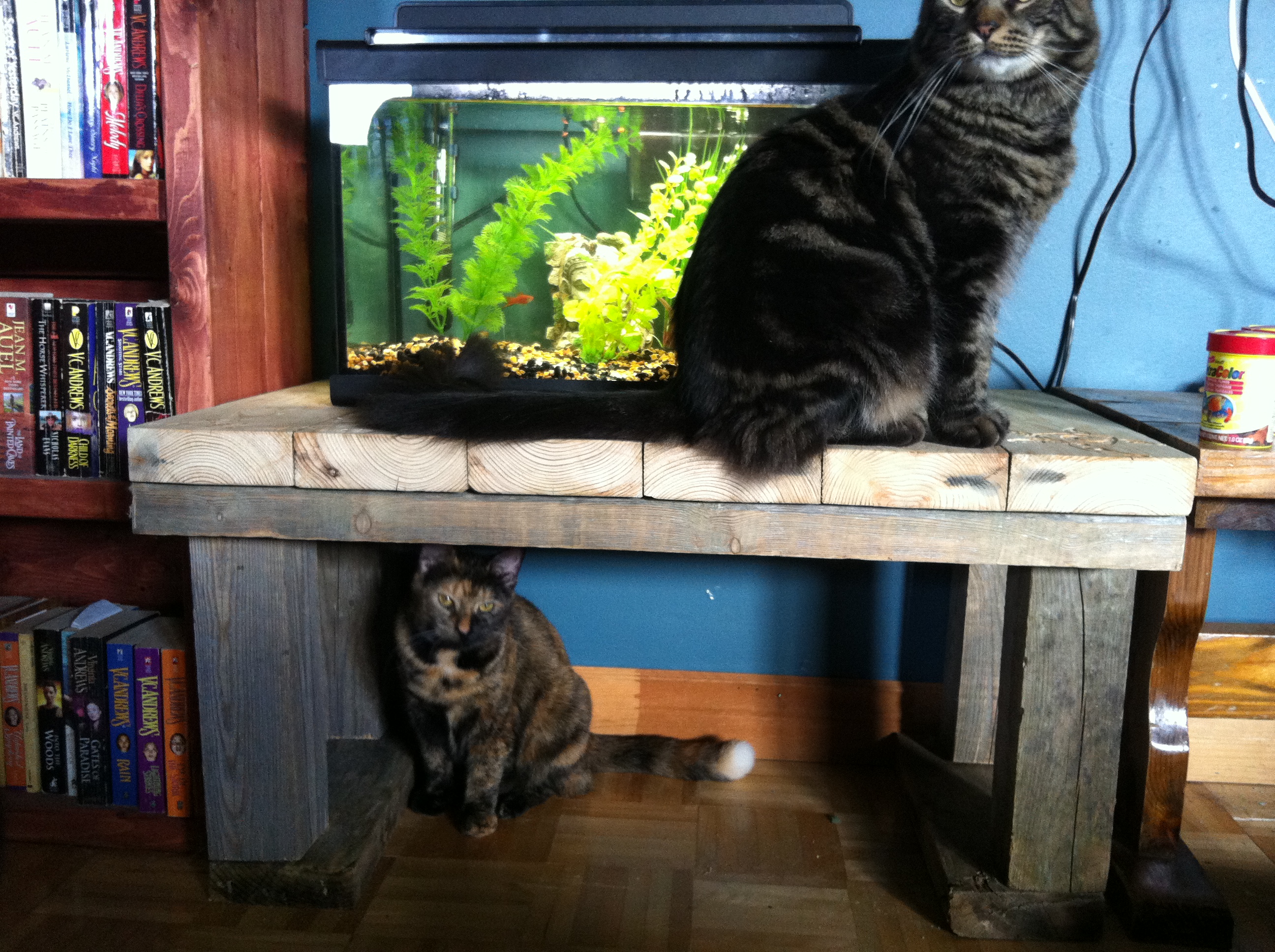 Upcycle Aquarium Stand Or Coffee Table 7 Steps With Pictures