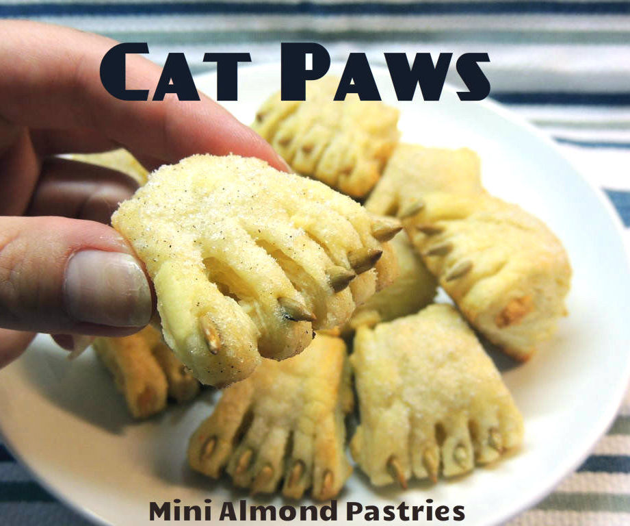 Cat Paws 4 Steps (with Pictures) Instructables