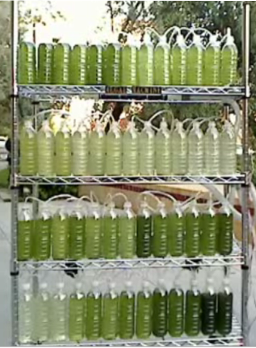 An Algae Bioreactor From Recycled Water Bottles 7 Steps (with