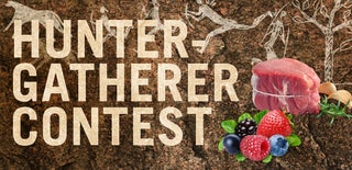 Hunter-Gatherer Contest