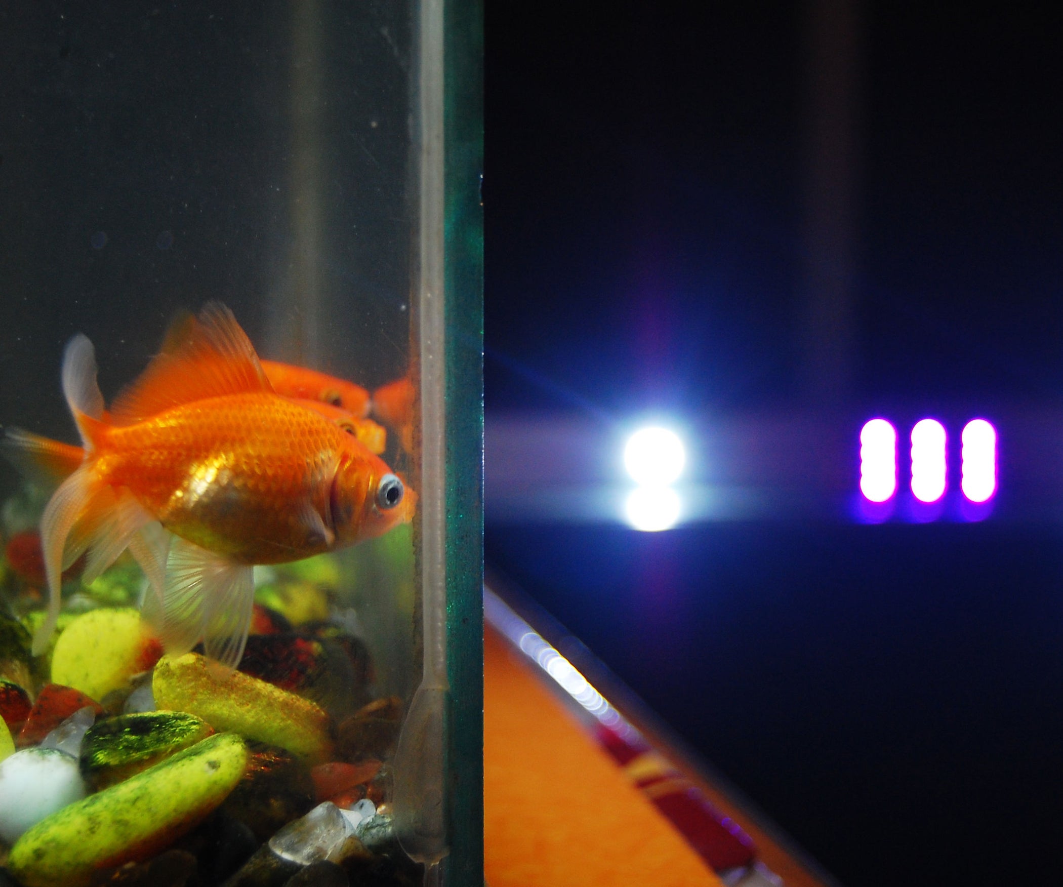 automated led lighting for