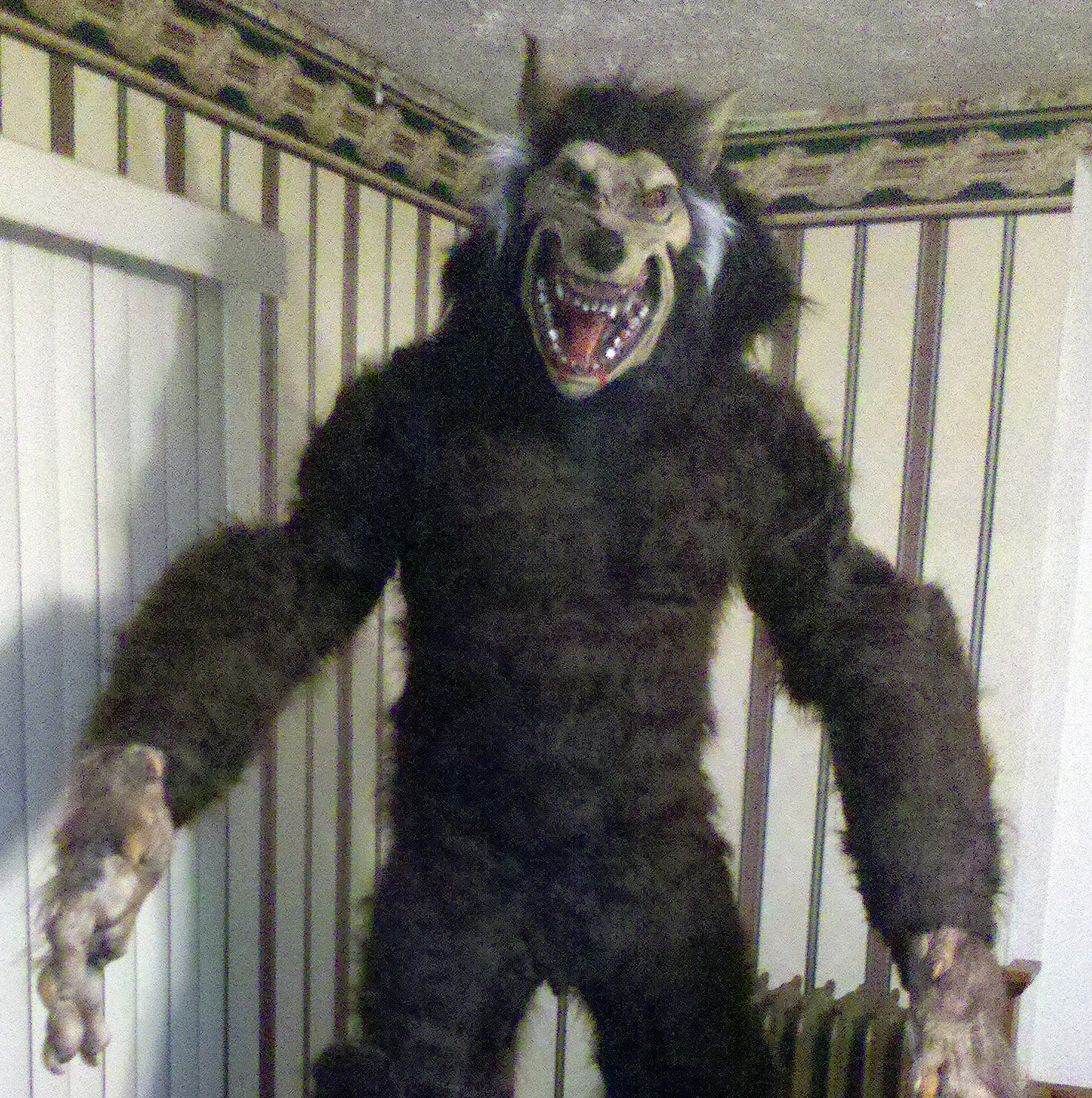 &quot;Creature Reacher&quot; 9 Ft Werewolf Monster Costume 5 Steps (with
