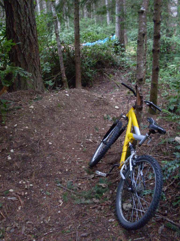 mountain biking courses near me