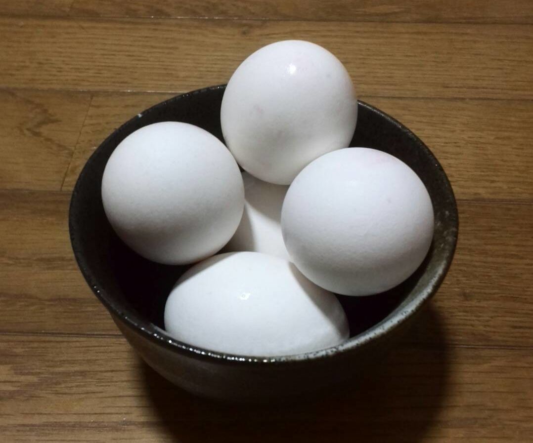 Chalk Made From Egg Shells 12 Steps (with Pictures) Instructables