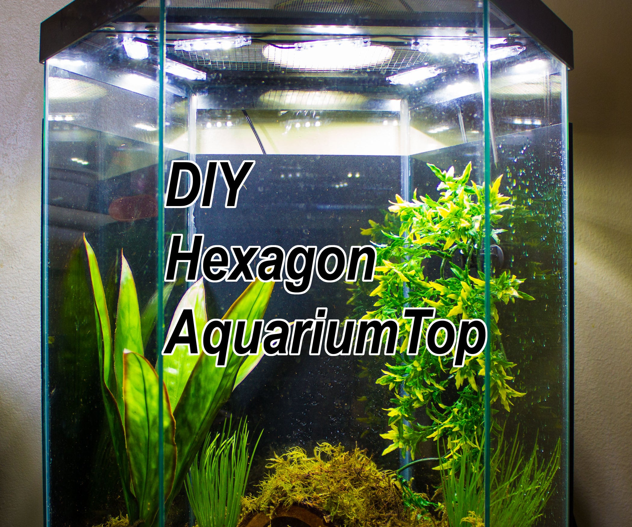 DIY LED Hood for a 20 Gallon Hexagon Aquarium Tank : 6 Steps (with