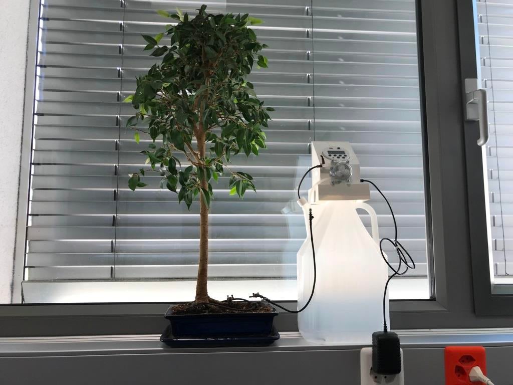 Automated Bonsai Watering (without Arduino) 5 Steps (with Pictures)