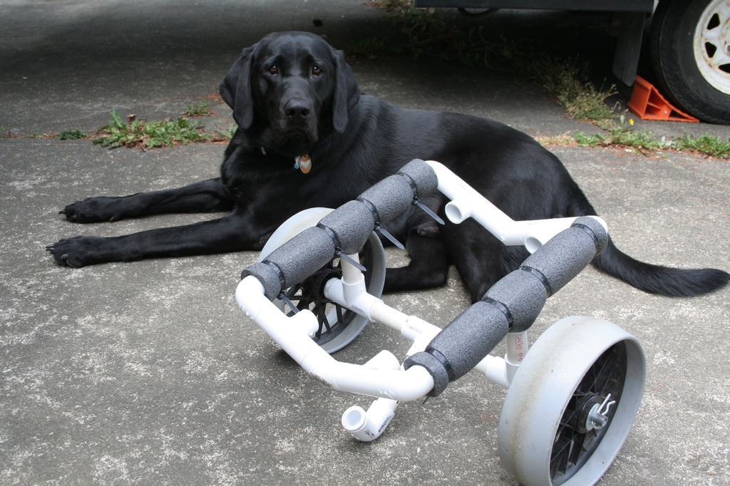 Pvc Kayak Cart 5 Steps With Pictures