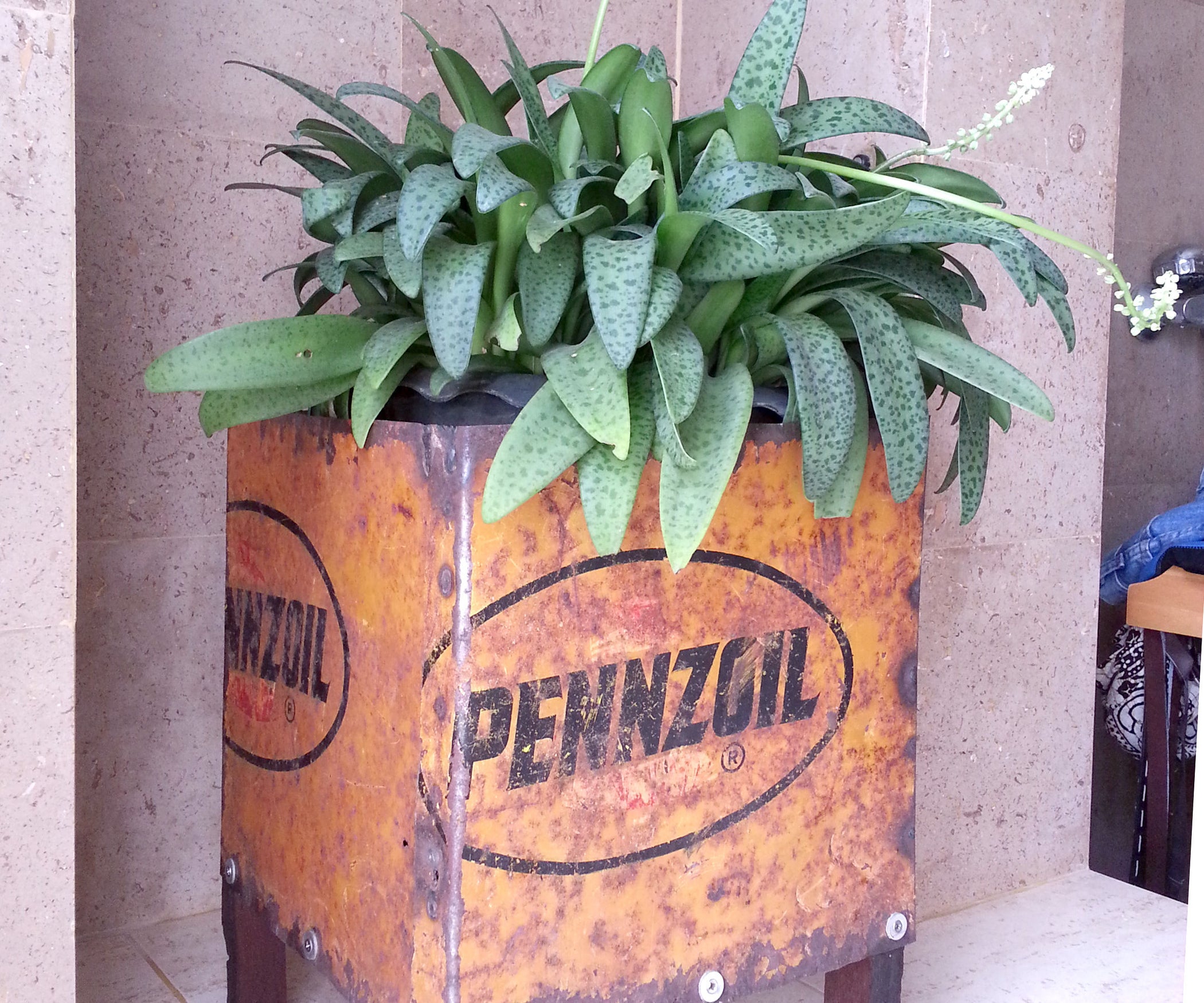 The Rust Bucket 5 Steps (with Pictures) Instructables