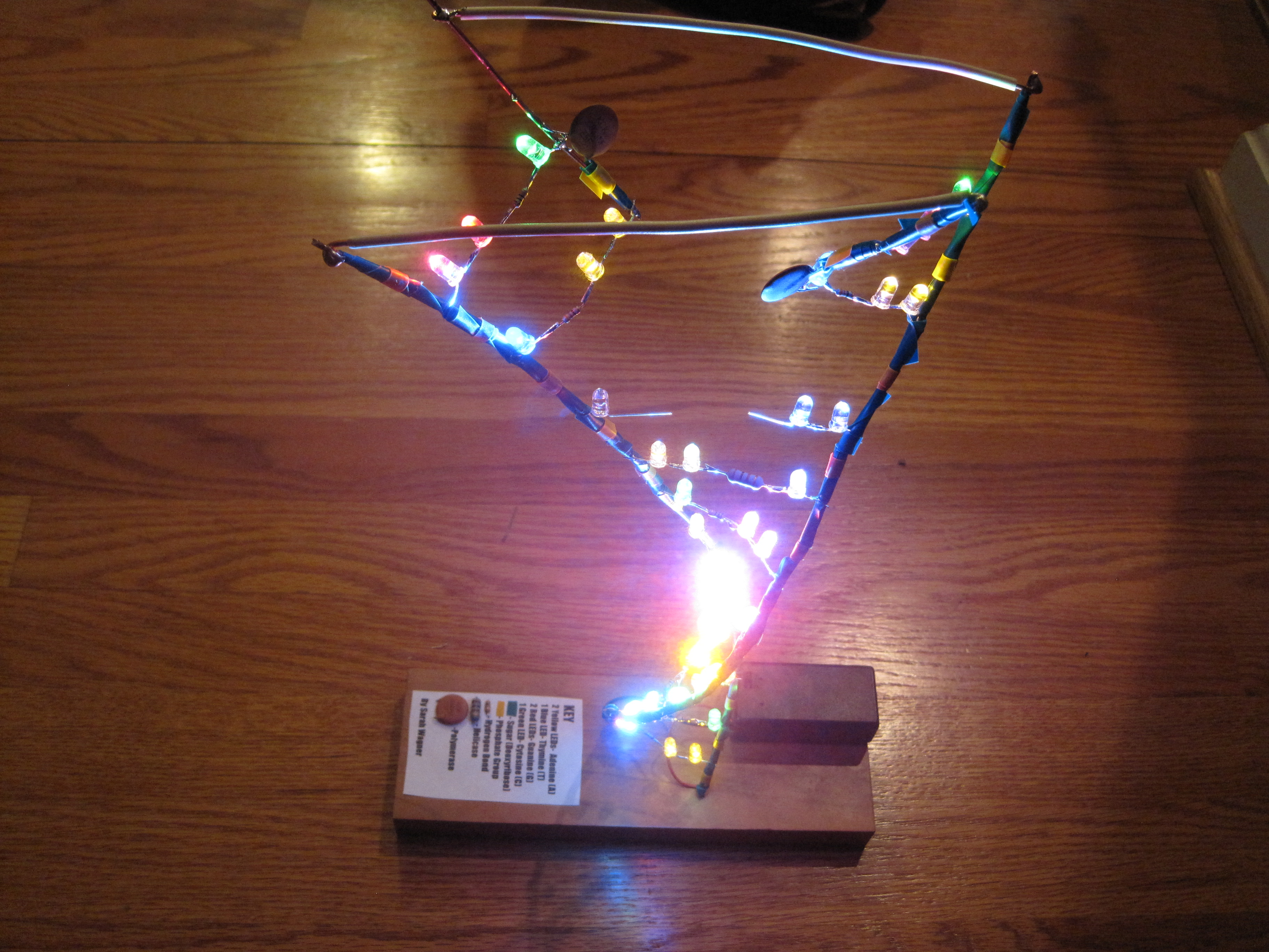 Led Dna Model 9 Steps