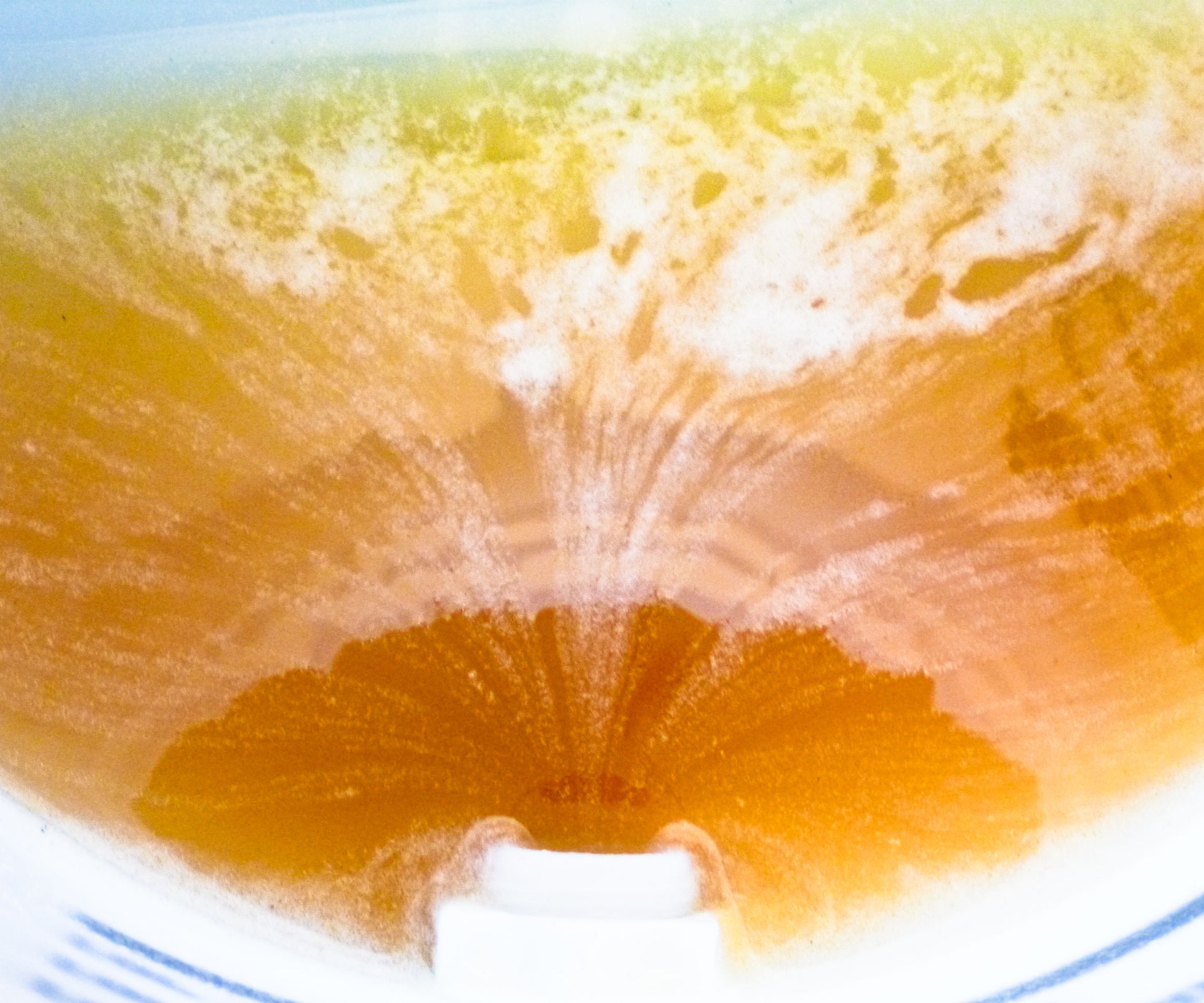 Extracting Honey From a Hive 5 Steps (with Pictures) Instructables