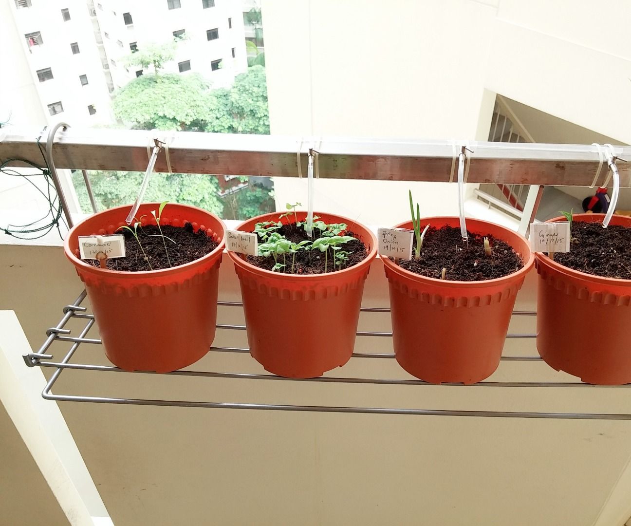 Home DIY Gravity Drip Irrigation for Herbs and Plants 4 Steps (with