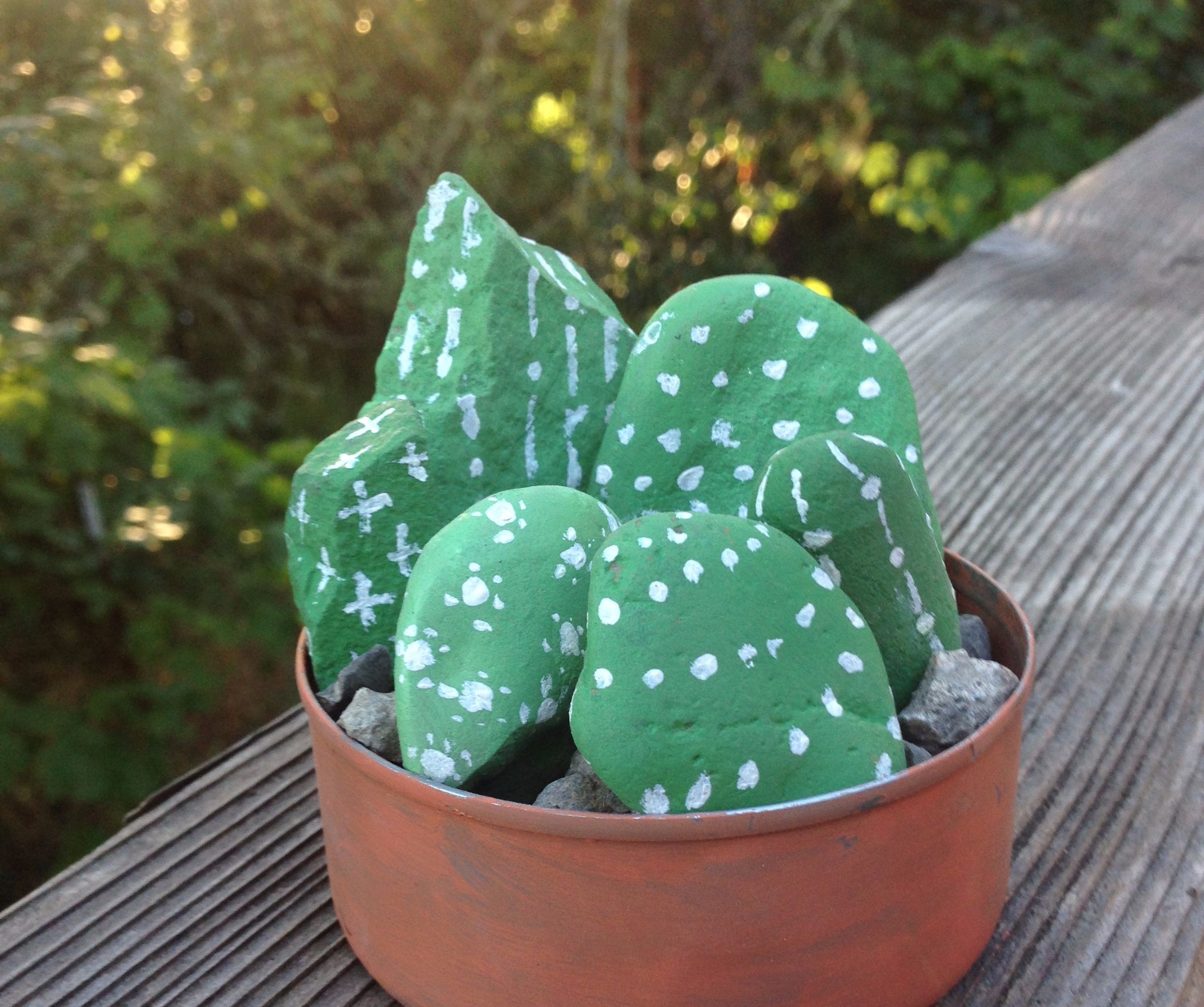 Mini Cactus Rock Garden 6 Steps With Pictures