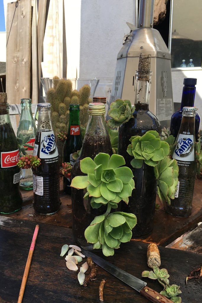 Bottles Up Gardening !! 8 Steps (with Pictures)