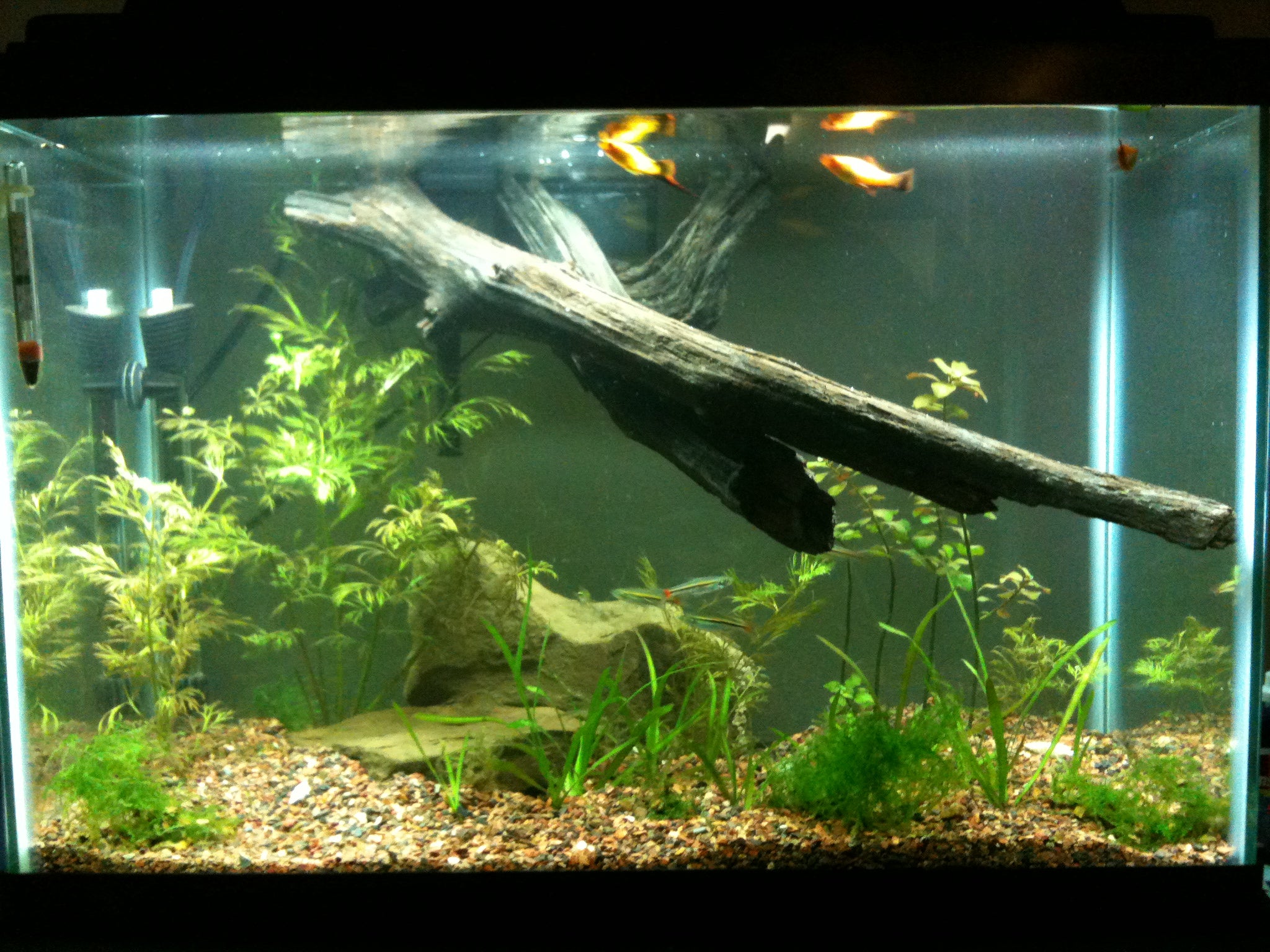 Simple, Cheap and Professional Looking Aquarium Light