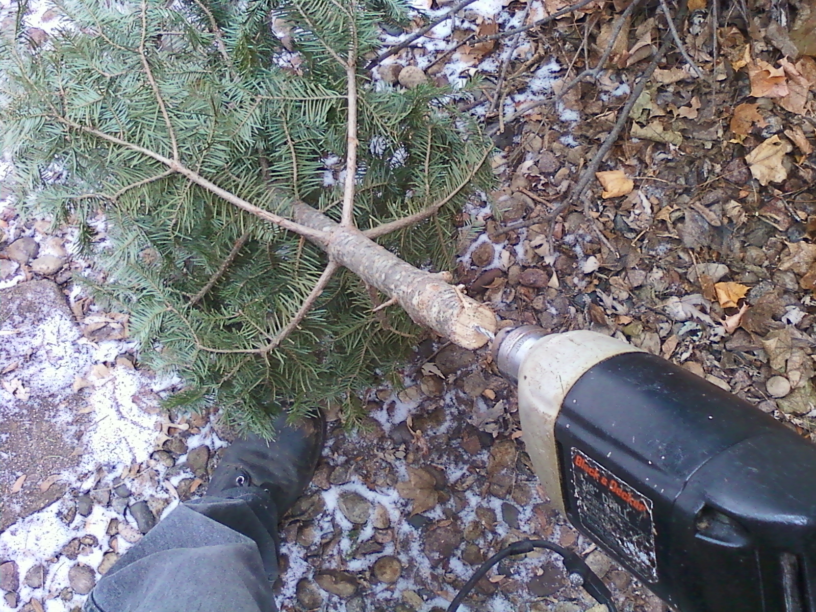 should i drill holes in my christmas tree