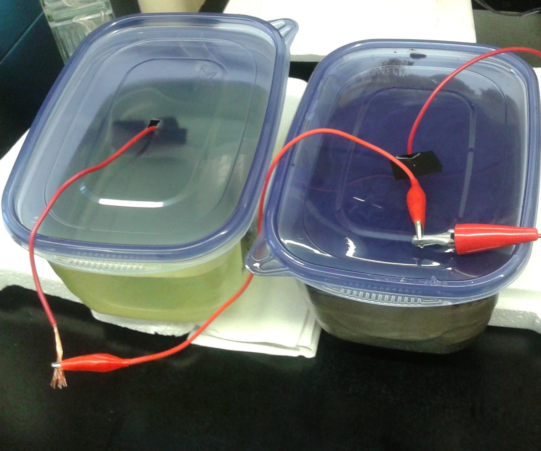 Make a Microbial Fuel Cell 4 Steps
