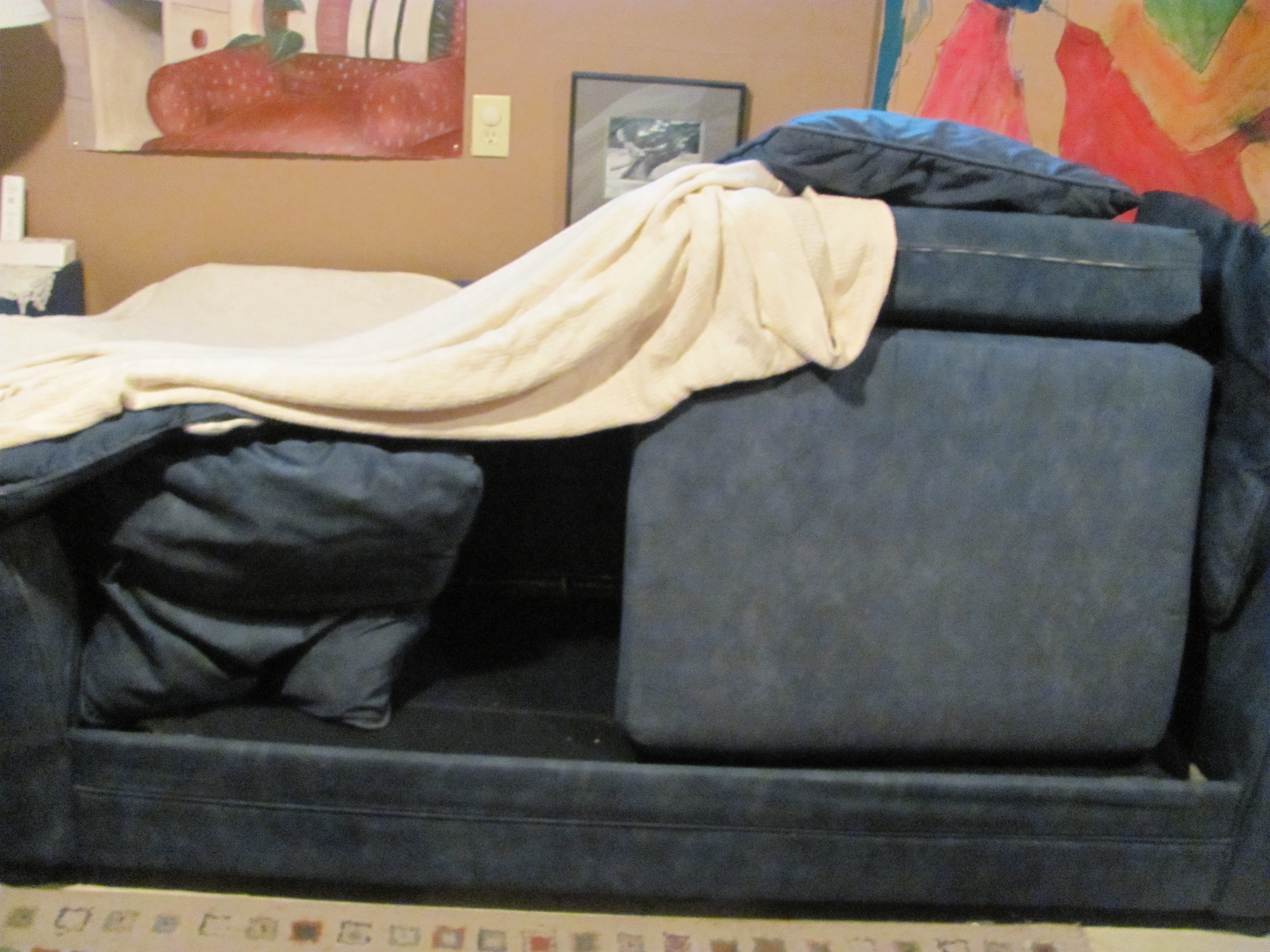 Build A Fort Out Of Couch