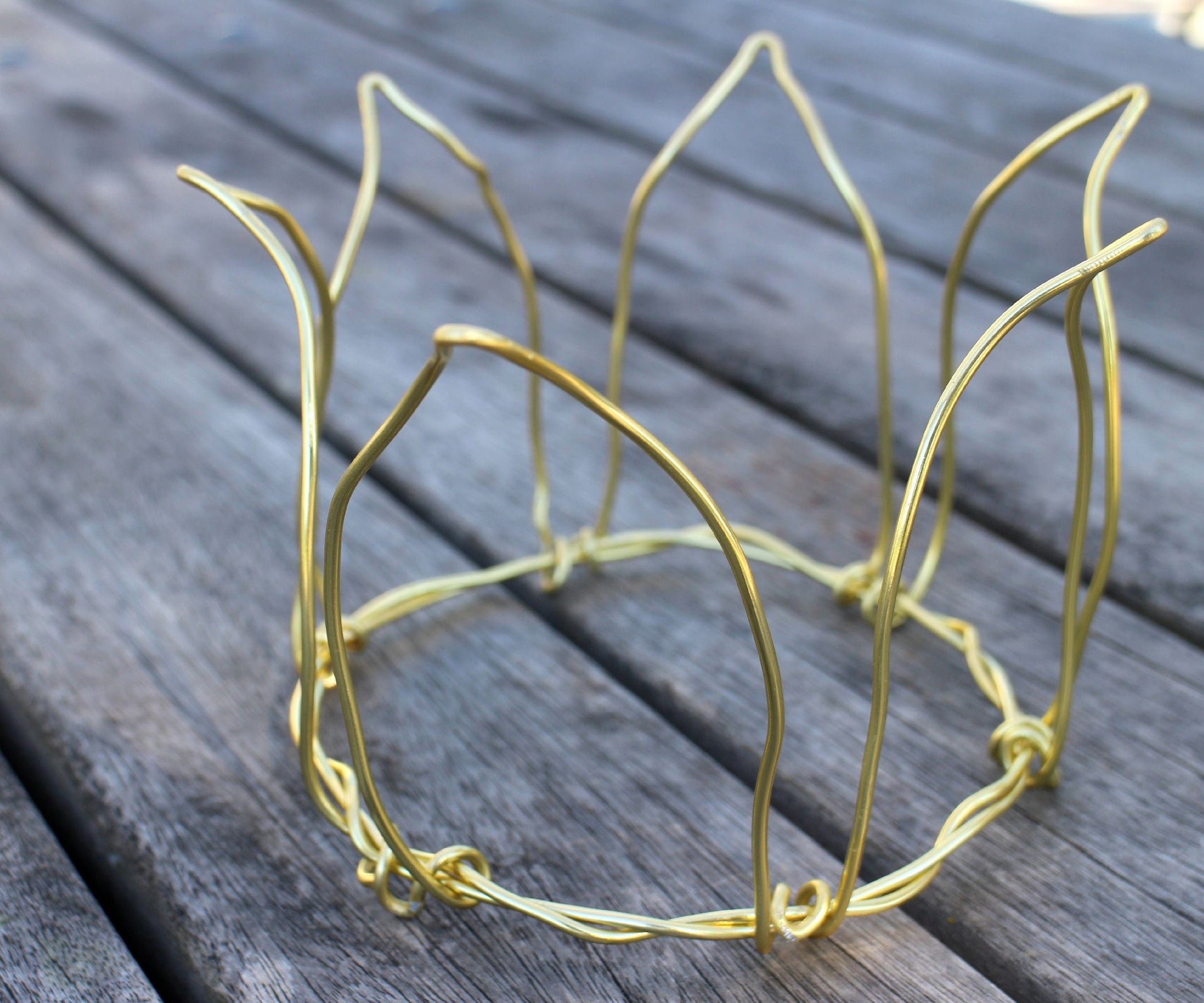 Wire Crown 8 Steps (with Pictures) Instructables