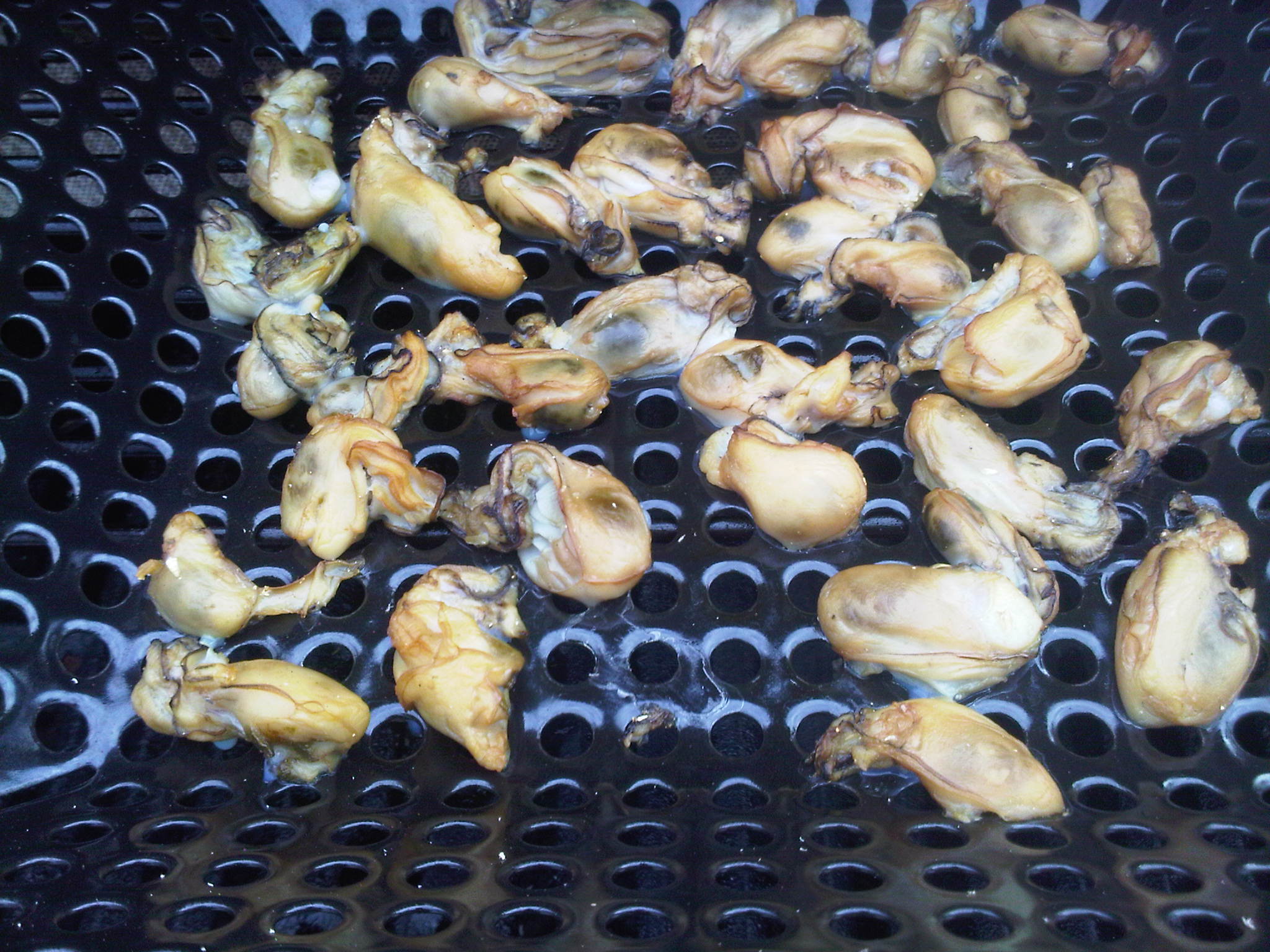 How to Smoke Oysters at Home 4 Steps (with Pictures) Instructables