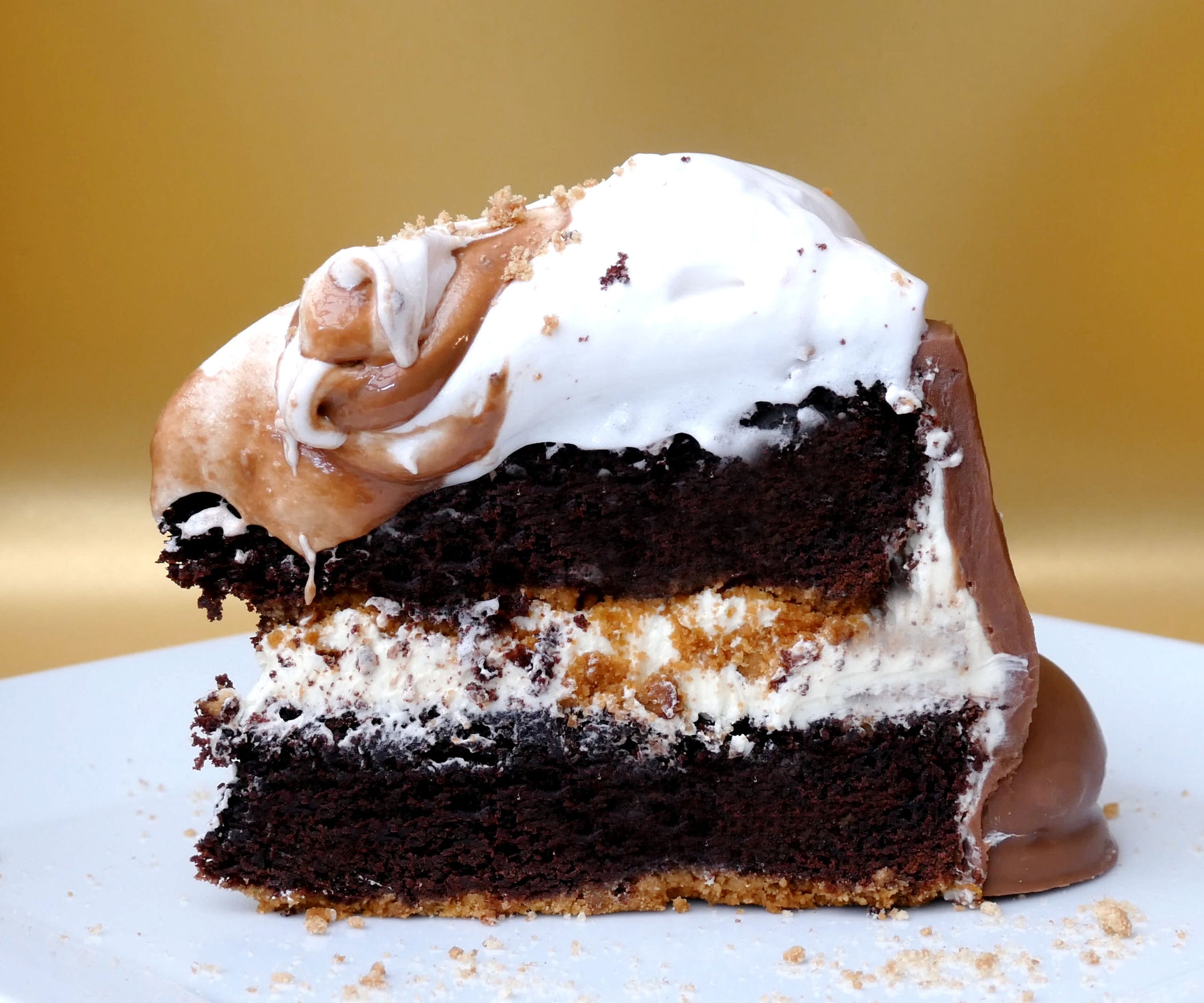 TUNNOCK'S (S'MORES) CHOCOLATE & MARSHMALLOW TEA CAKE 7 Steps (with
