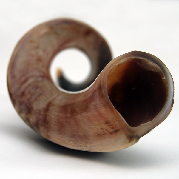 How to Sound a Shofar 3 Steps (with Pictures)