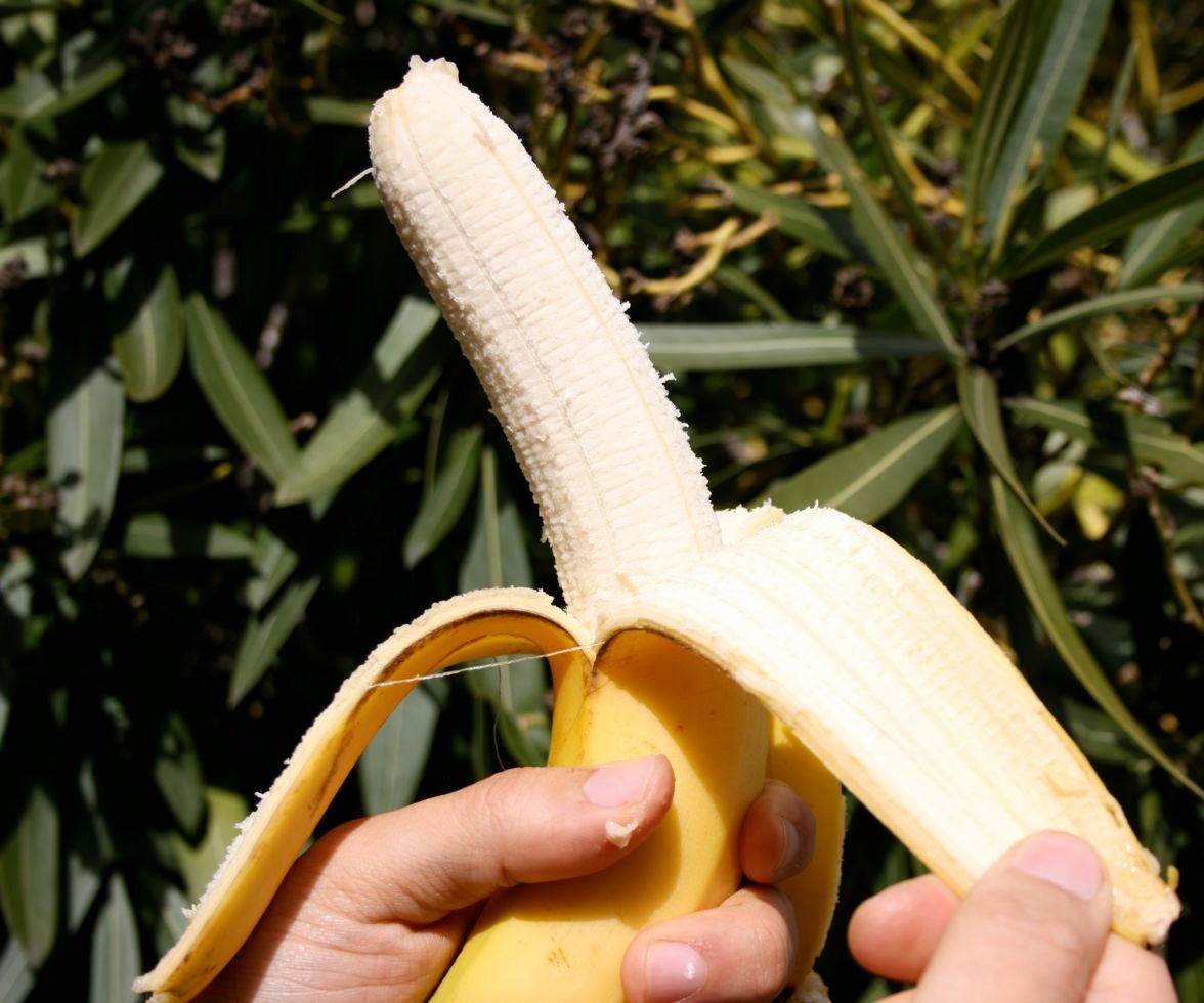 How to Eat a Banana Like a Monkey 7 Steps (with Pictures)