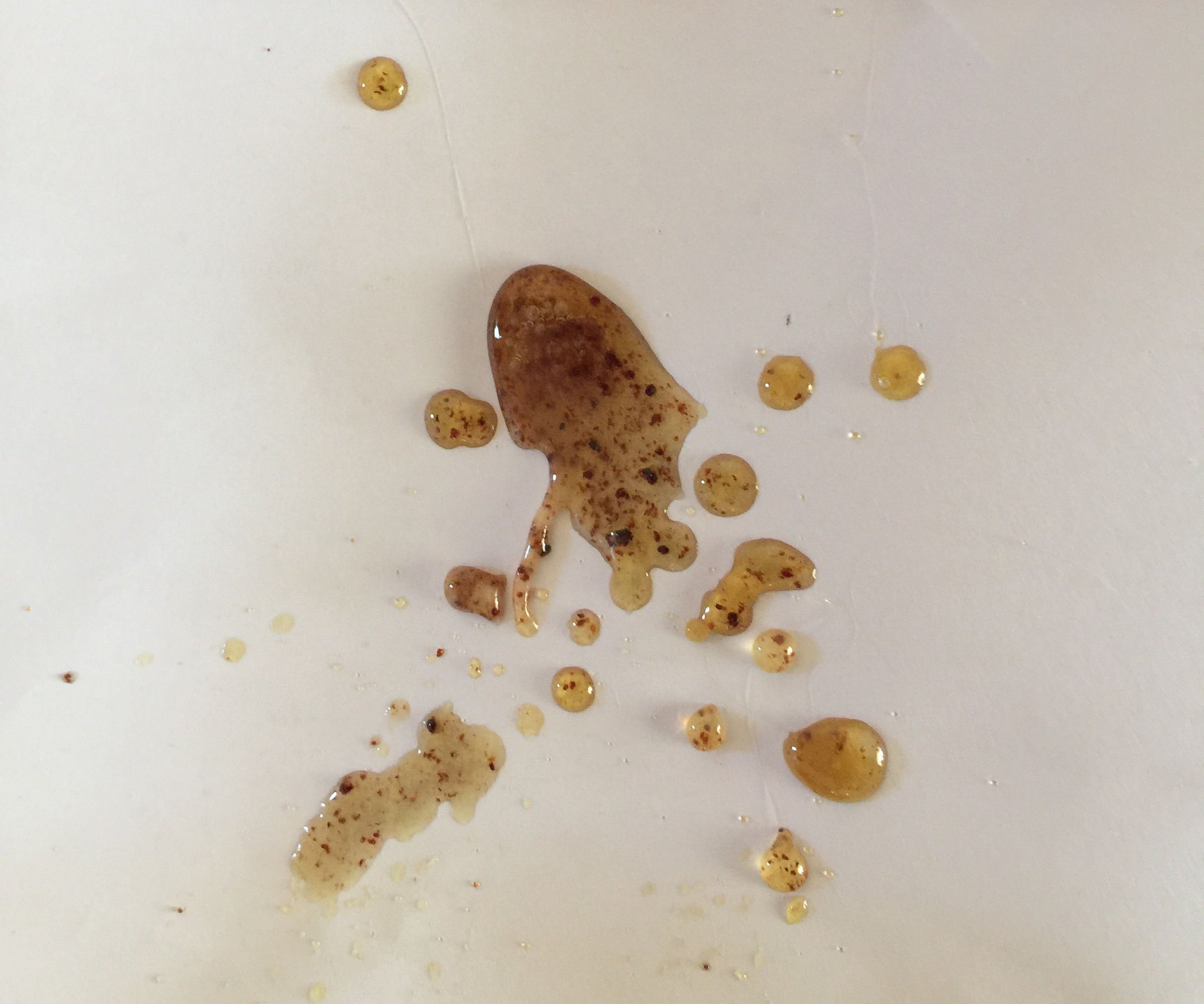 Tree Sap Glue for a Glue Gun 6 Steps (with Pictures) Instructables