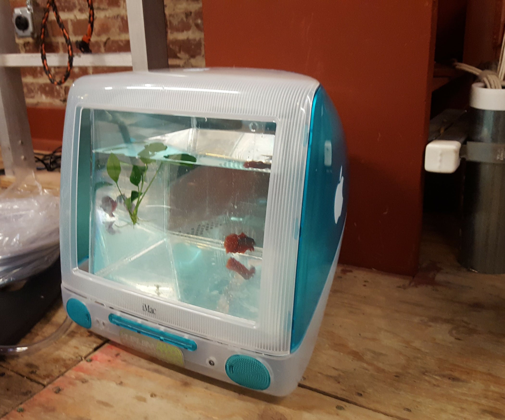diy imac fish tank