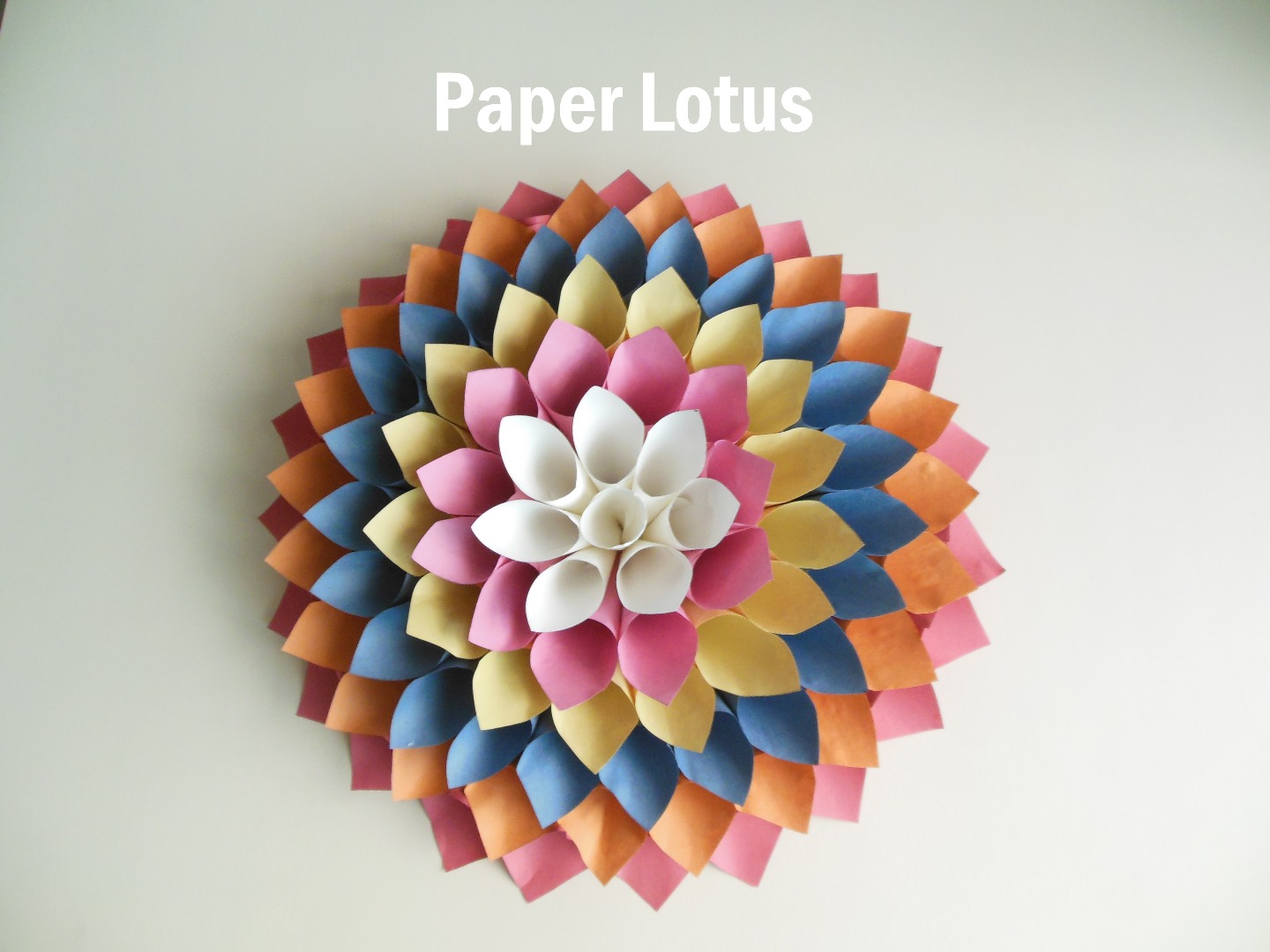 paper lotus 6 steps with pictures how to make a lotus flower out of paper