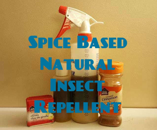 Spice Based Natural Insect Repellent 5 Steps (with Pictures