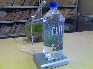 Usb Sea Monkeys 12 Steps With Pictures Instructables