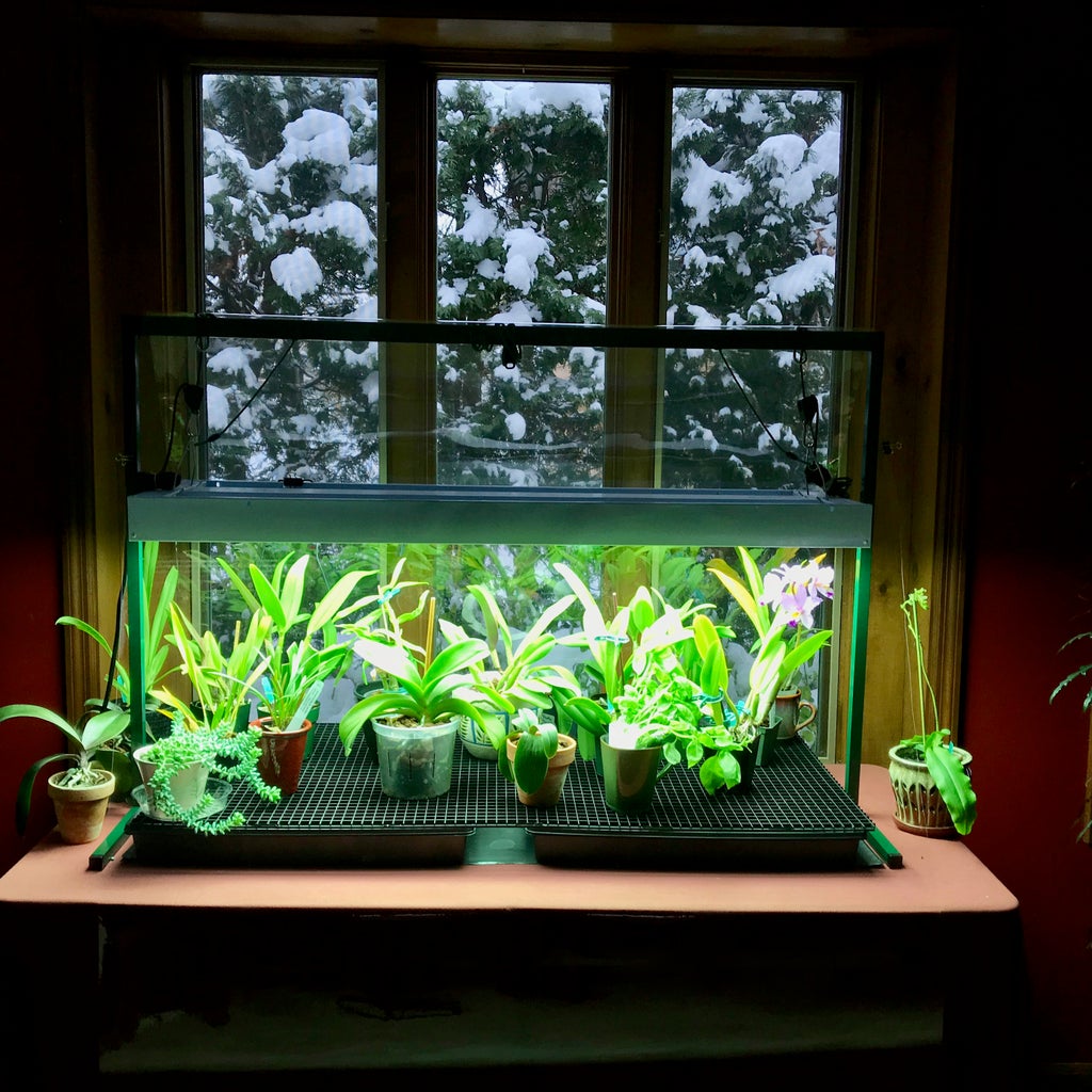 Orchid Greenhouse Table With Lights 7 Steps With Pictures Instructables