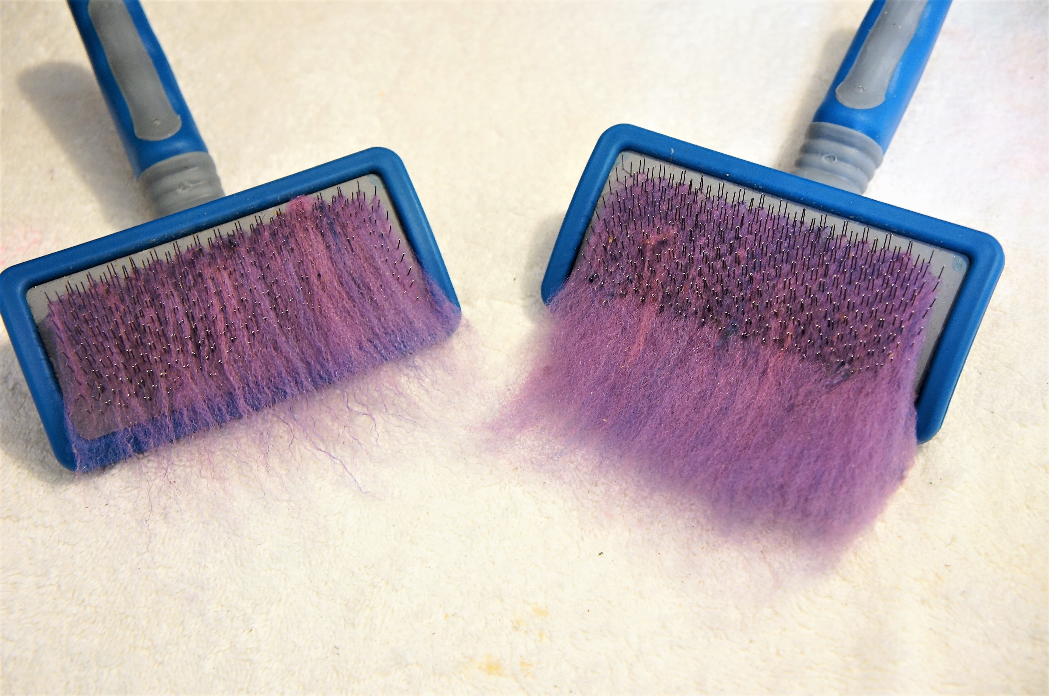 How to Process Card and Dye Raw Wool 12 Steps (with Pictures)