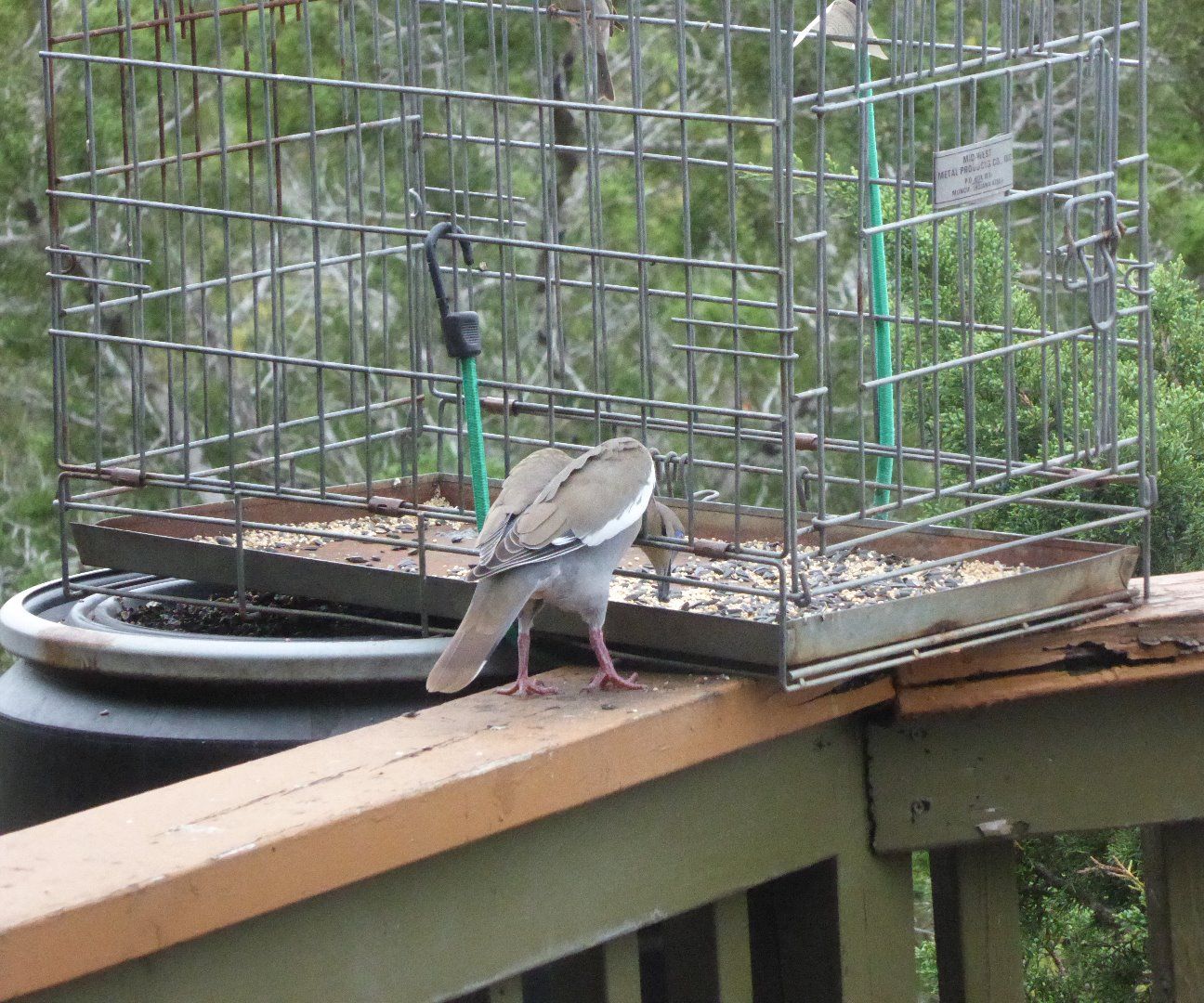 The Big Bird And Squirrel Proof Bird Feeder 3 Steps Instructables