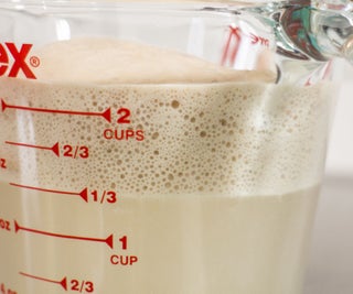 Proofing Your Yeast