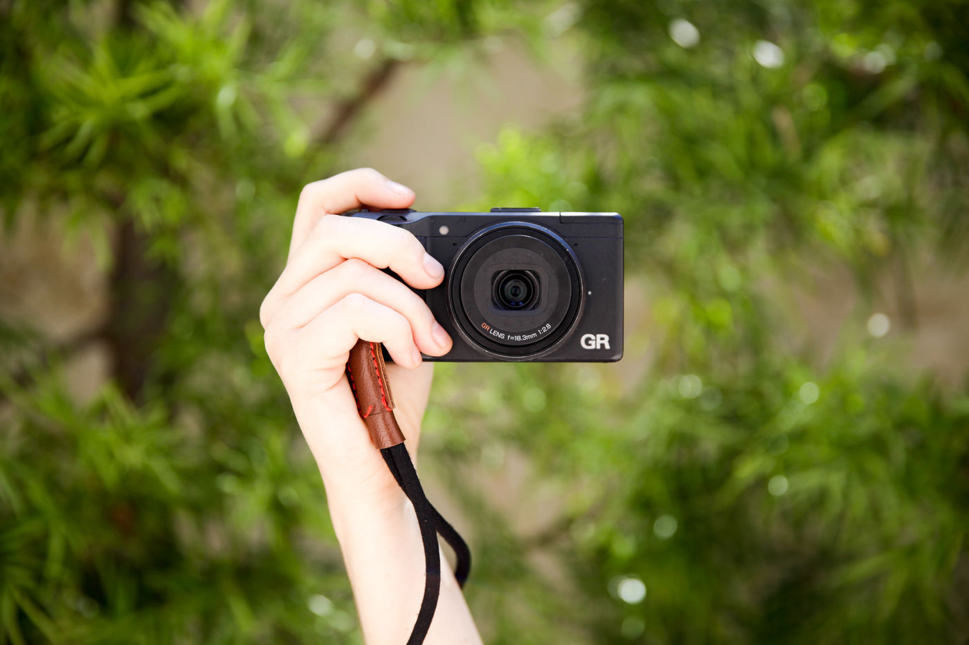 Choosing a Camera, Tools and Supplies