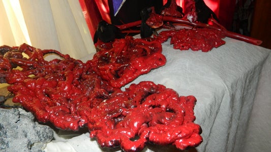 Guts and Gore Halloween Props 8 Steps (with Pictures) Instructables