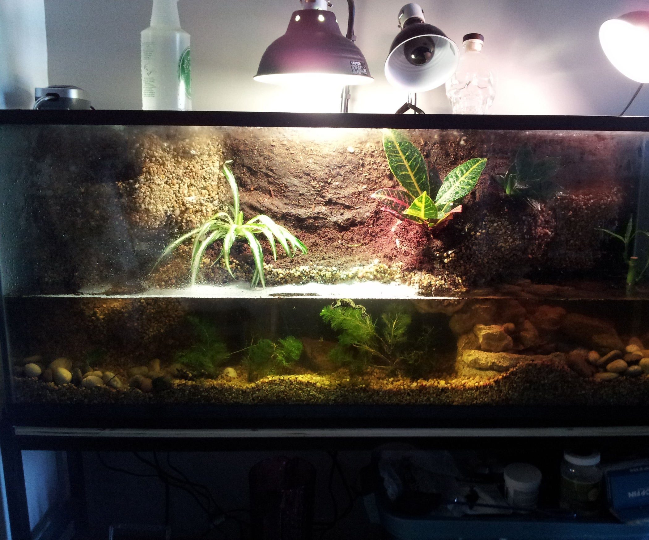 Paludarium/Terrarium Build 12 Steps Instructables