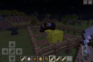 Minecraft Nametag Secrets 4 Steps Instructables