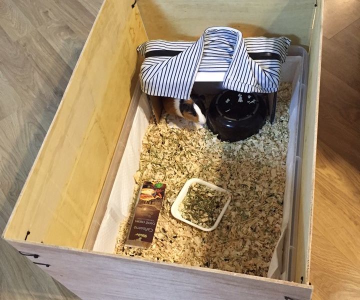 Indoor Guinea Pig Enclosure 5 Steps (with Pictures) Instructables
