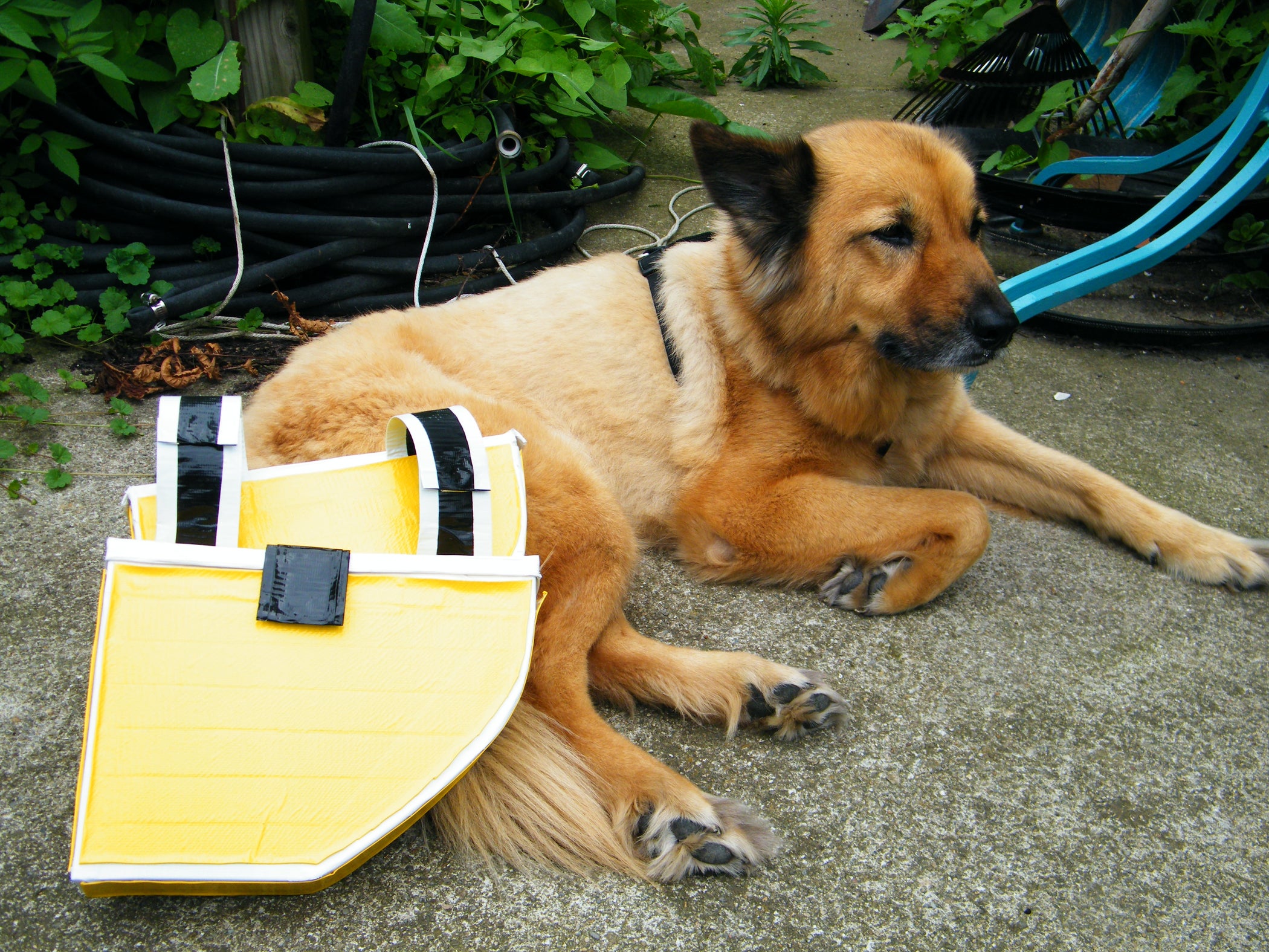 Duct Tape Dog Panniers (with Pictures)