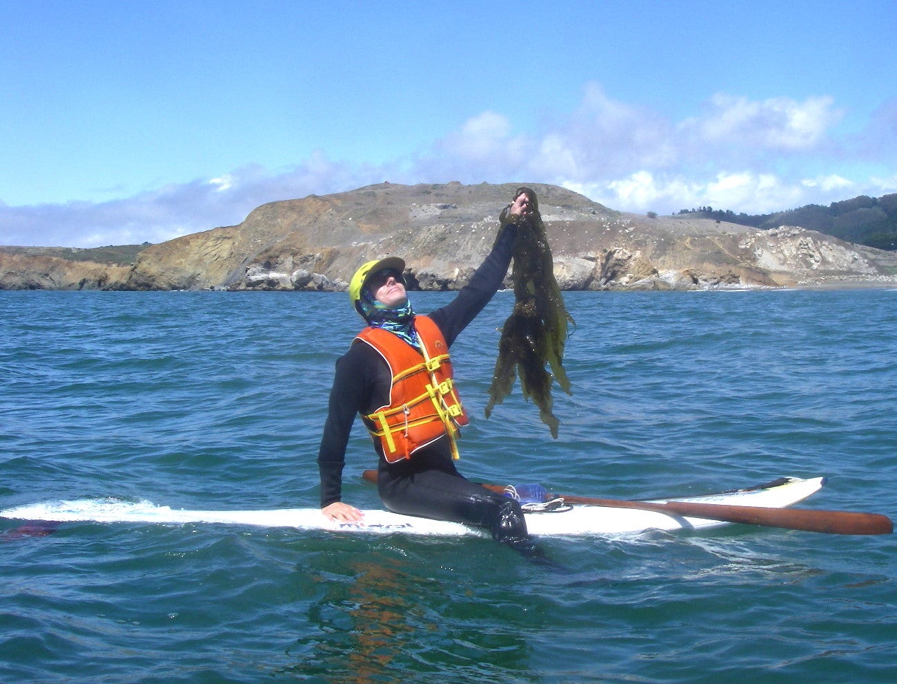 Dried Kelp 5 Steps (with Pictures) Instructables