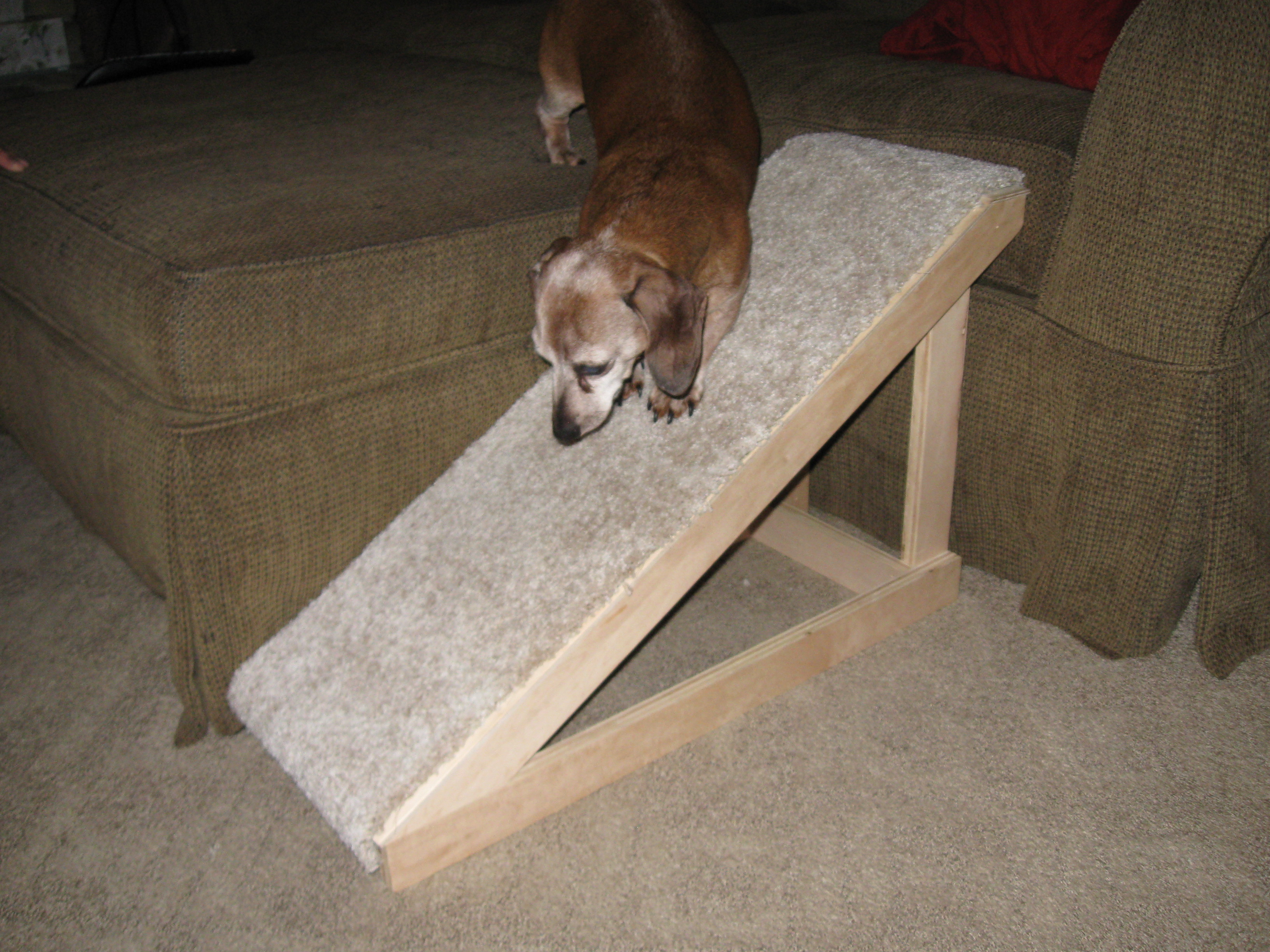 Pet Ramp 5 Steps With Pictures Instructables