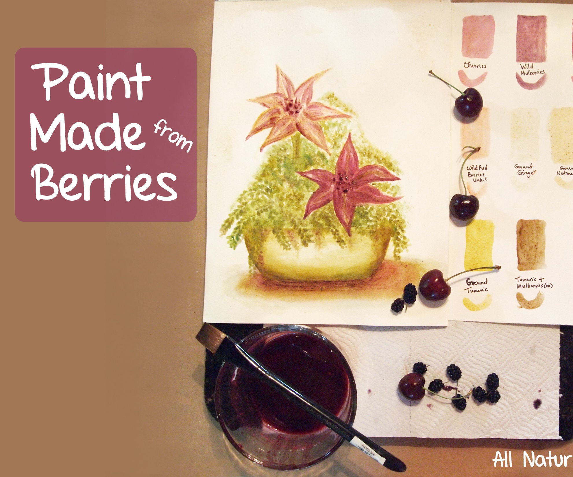 Paint Made From Berries & Nature 4 Steps (with Pictures)