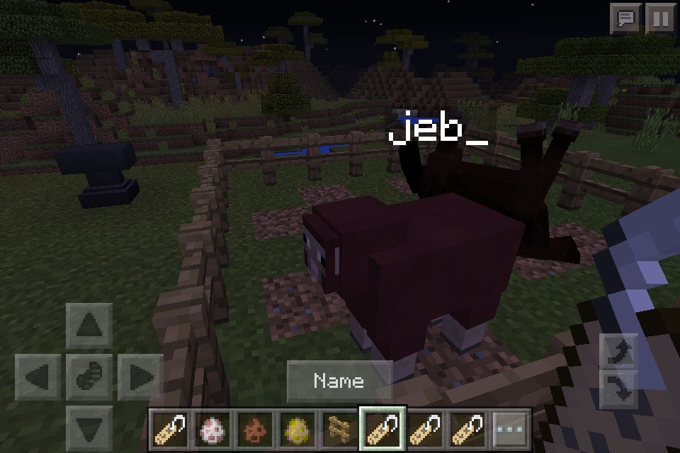 Minecraft Nametag Secrets 4 Steps Instructables