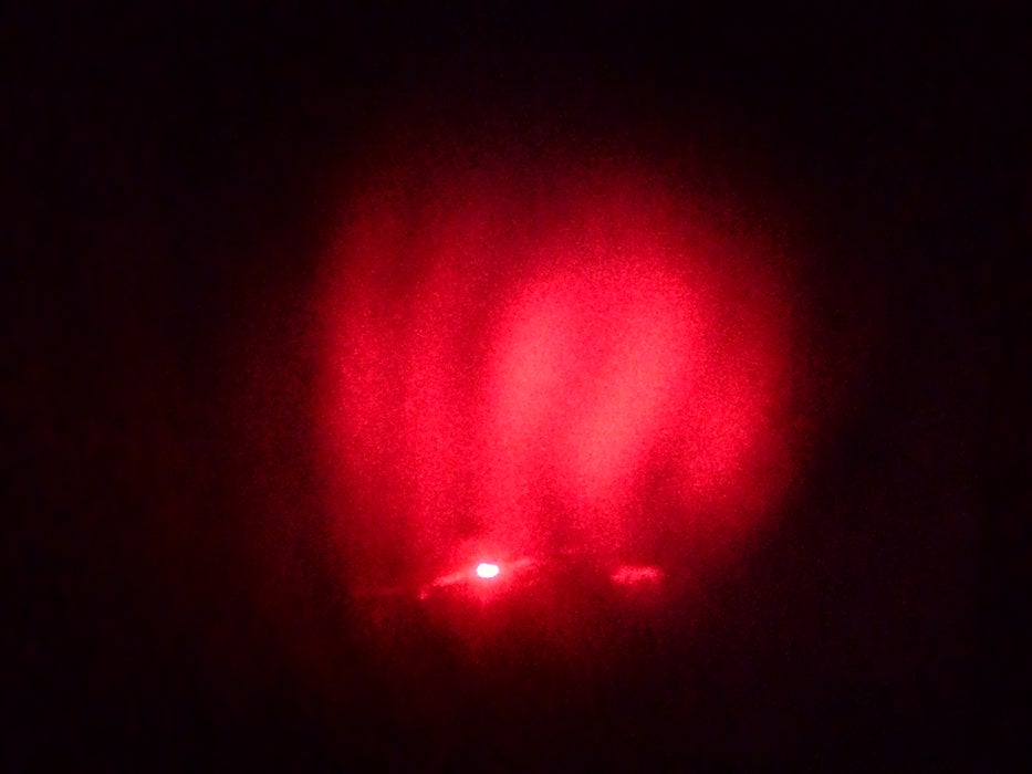 The Final Show: Microbes.