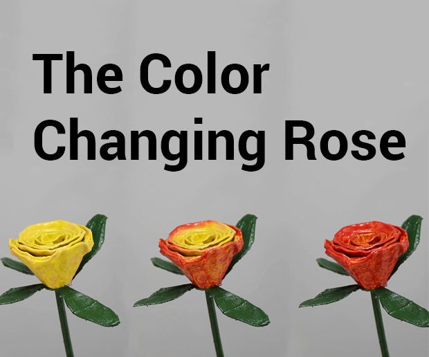 The Color Changing Rose 9 Steps (with Pictures) Instructables