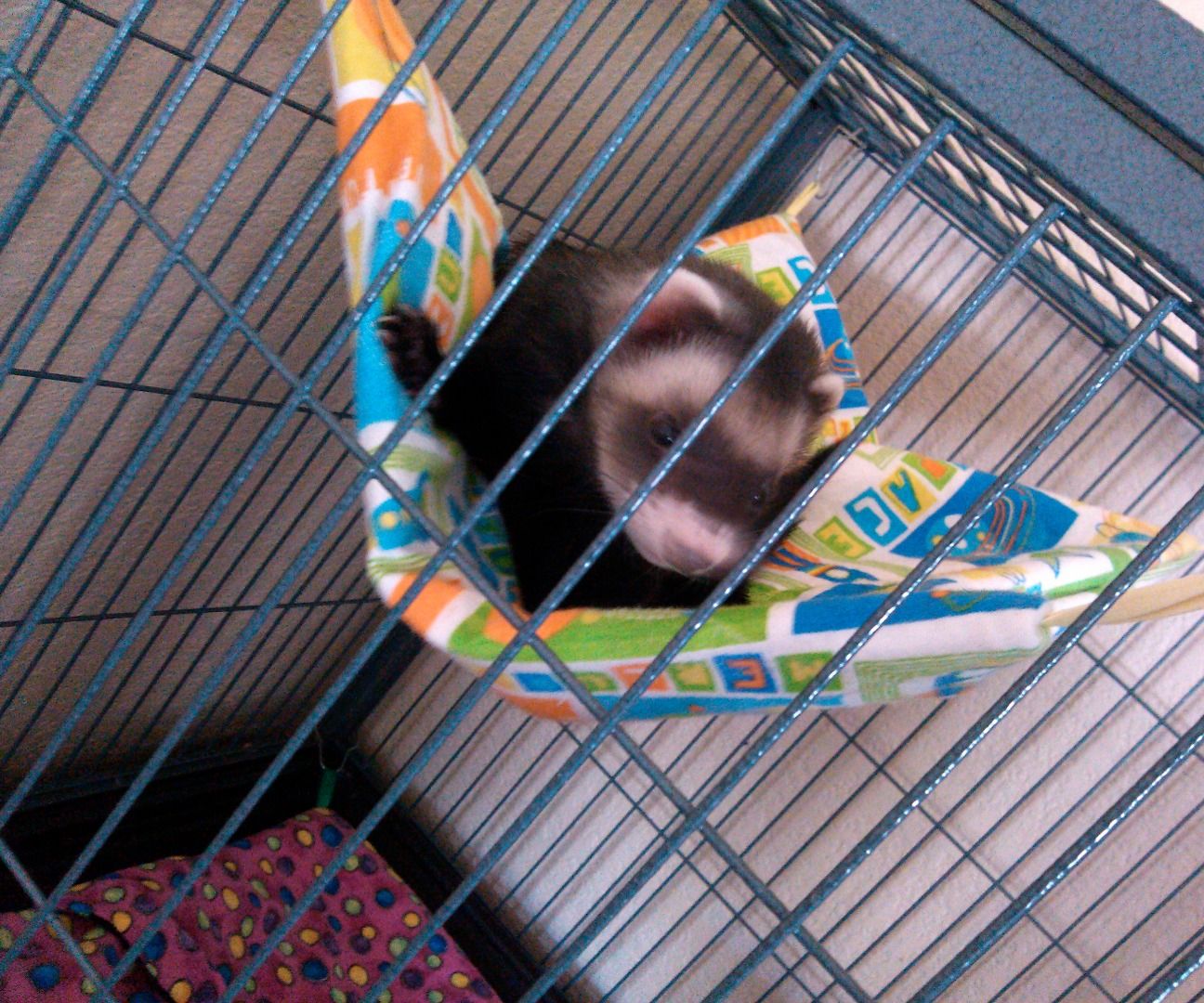It's Hammock Time! (Ferret Sleepsack) 5 Steps (with Pictures