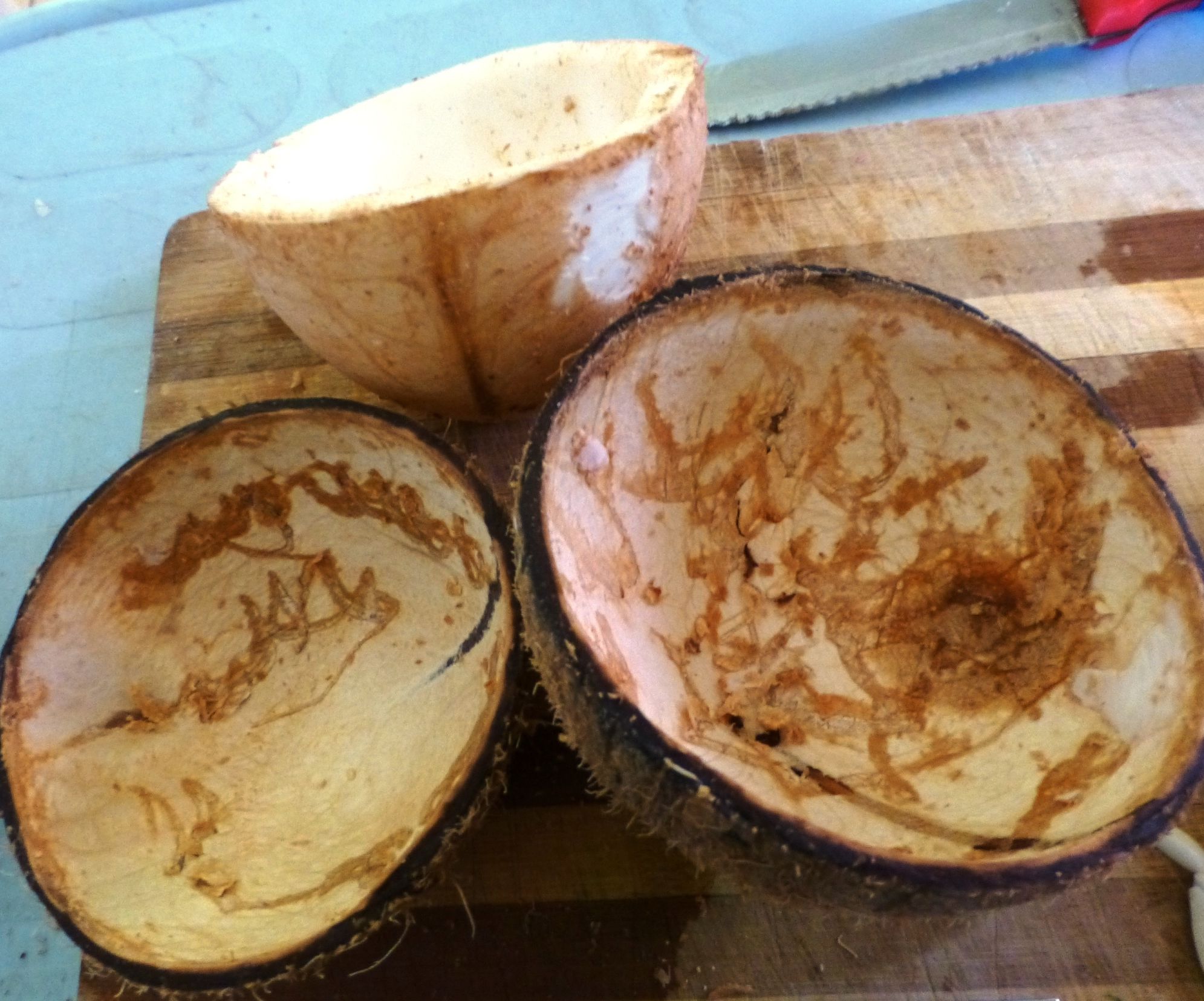 How to Perfectly Cut Open a Coconut Shell to Be Used in Other Craft