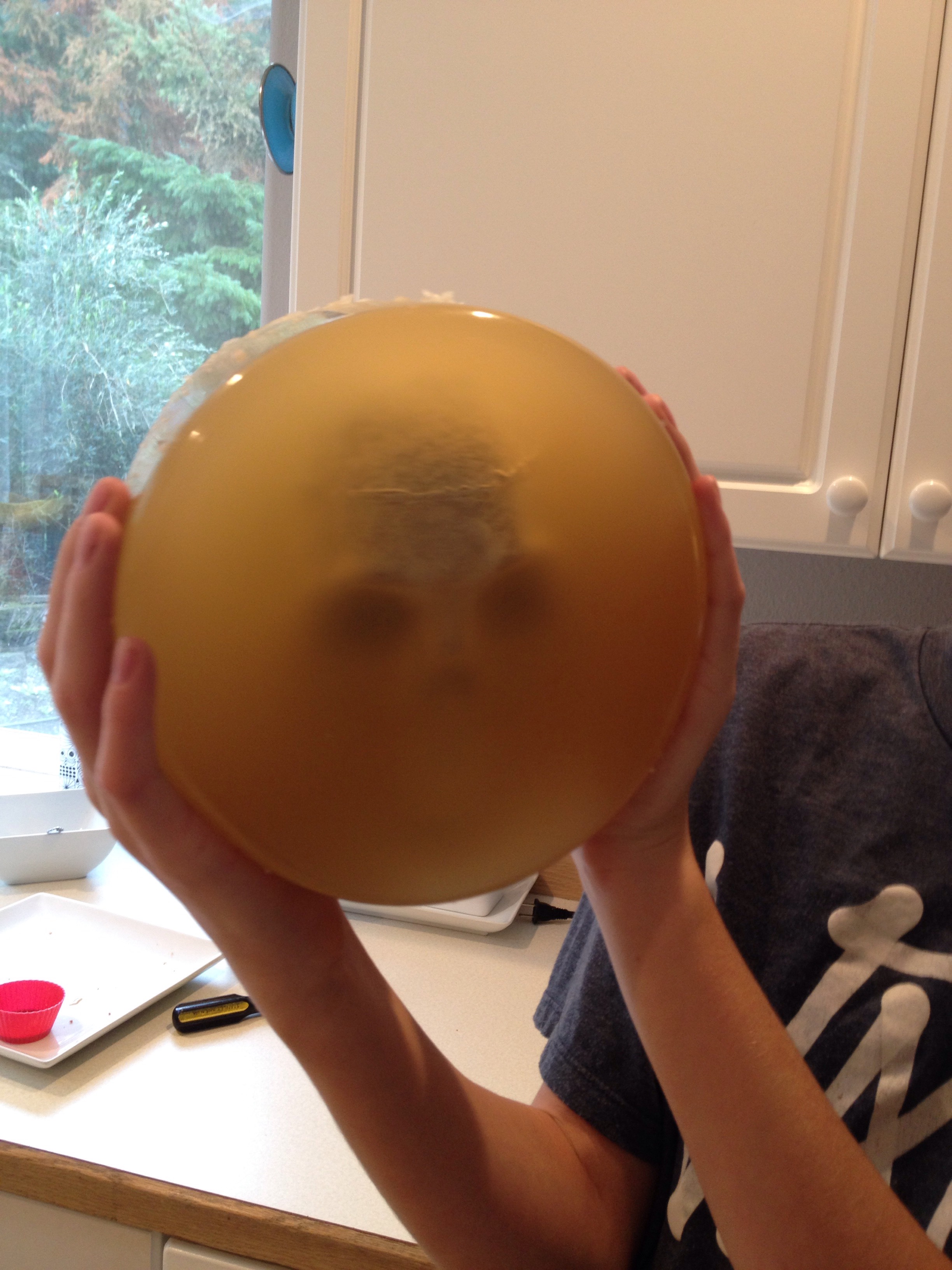 Making A Bleeding Ballistics Gel Head 8 Steps